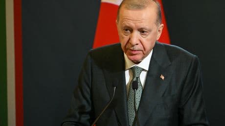 La Turquie a découvert un nouveau gisement de gaz naturel en mer Noire, annonce Erdogan
