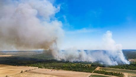 Sachsen und Brandenburg: Waldbrand in Gohrischheide - Ort Heidehäuser evakuiert