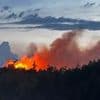 Waldbrand im Harz: Ändernde Windrichtung droht die Lage zu verschärfen
