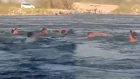 Fırat Nehri'nde 3 kişi boğulmaktan son anda kurtardı