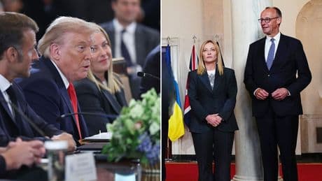 Trump und Meloni witzeln über Merz' Körpergröße: "Ich bevorzuge Wolodymyr"