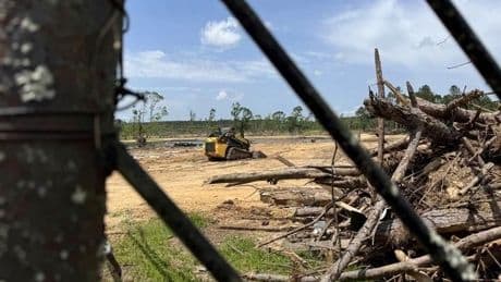 While Trump overhauls FEMA, Mississippi tornado survivors await assistance