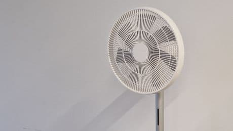 Windstärke zum Einschalten: Die besten Standventilatoren im Test