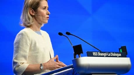 Kallas: EU erhöht nach "harter Liebe" der Trump-Regierung Verteidigungsausgaben