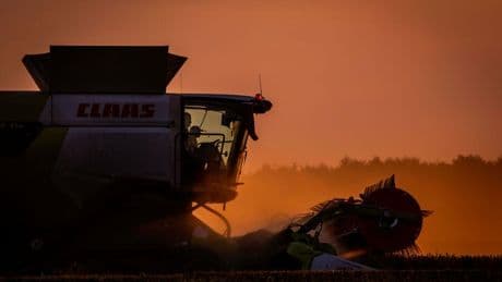 Bauernverband: Getreideernte 2025 besser als in Vorjahren