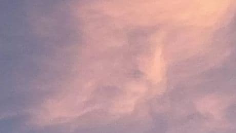 Donald Trump fan claims she can see US President's face in the sky