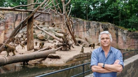 Nach Pavian-Tötung: Direktor von Nürnberger Tiergarten erhält Morddrohungen