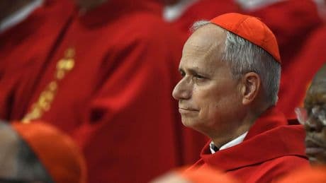 ¿Por qué el cardenal Robert Francis Prevost ha elegido el nombre de León XIV? Esto es lo que se sabe de los anteriores pontífices con el mismo nombre