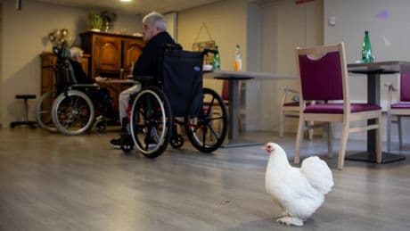 À Guingamp, l’Ehpad de Kersalic rend leur humanité à ses résidents