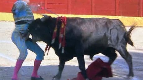 Sergio  Rollón, evacuado en helicóptero tras una grave cornada en Valdetorres del  Jarama