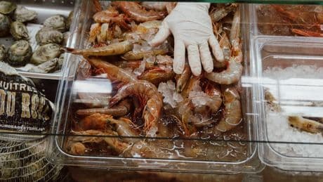 Investigating Shrimp Fraud Is an Urgent Matter on the Gulf Coast