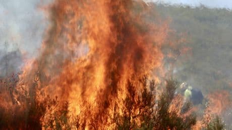 Arde la democracia