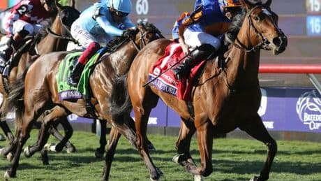 1000 Guineas tips as Ryan Moore's 11/4 shot backed to prevent Godolphin double