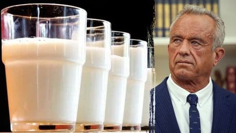 Whole milk makes a comeback in new MAHA children's health strategy