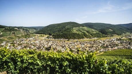 EU-Länder einigen sich auf Unterstützung für Weinbauern