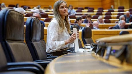 Aagesen califica de “anómala” una de las oscilaciones registradas en Europa antes del apagón y descarta un déficit de inercia