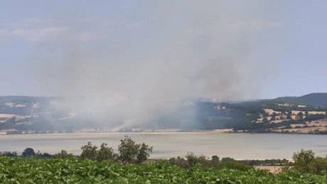 Edirne'de orman yangını: Müdahale devam ediyor
