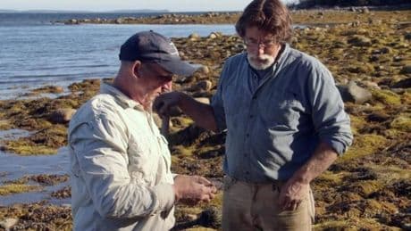 I visited a ‘cursed’ island – and stumbled upon a 230-year mystery