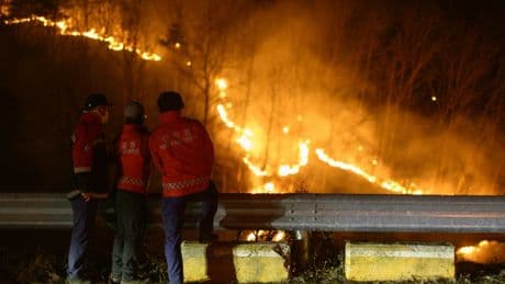 Les températures mondiales restent maintenues au-dessus d’1,5°C de réchauffement