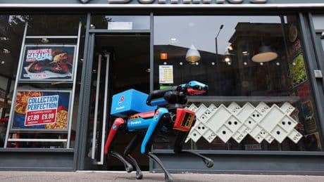 Meet 'Domidog': Domino's new robot dog protecting your pizza from seagulls