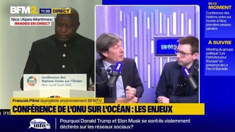 Réchauffement climatique, exploitation minière... Les nombreux enjeux de la conférence de l'ONU sur l'océan, qui a débuté à Nice