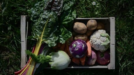 Les agriculteurs bio dénoncent un "hold-up" sur leurs aides
