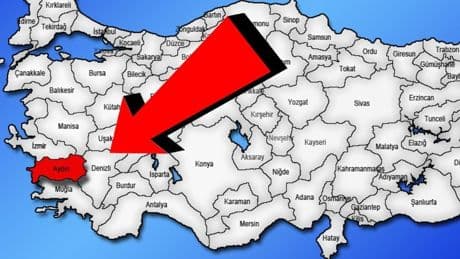 Aydın'da belediyeden Kurban Bayramı'na özel hizmet! İsteyen herkes için hareket edecek: Ücretsiz bir şekilde ulaştıracak