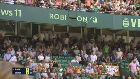El accidentado inicio del ATP 500 de Halle: ¡Cae un panel sobre una aficionada!