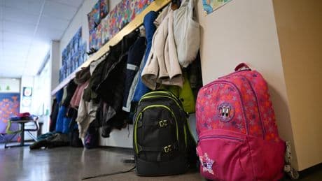 Bildung: 237 Gewaltvorfälle in einem Schuljahr in Sachsen-Anhalt