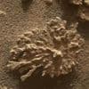 Pretty in Red: Der Mars-Rover Curiosity findet einen Stein, der einer Koralle ähnelt