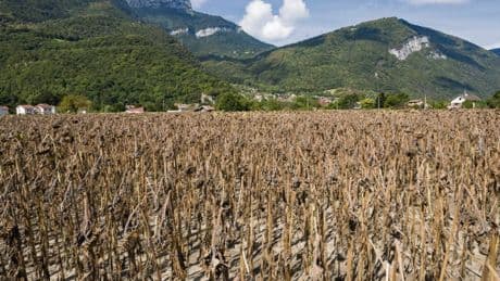 Face à l’inaction du gouvernement, trois ONG et 10 victimes du réchauffement climatique saisissent le Conseil d’État