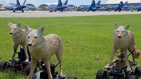 US army unveils bizarre weapon to stop invasion of wild animals on military bases