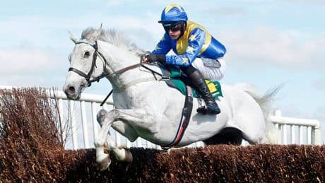One-eyed horse delights fans with sixth victory at his favourite track