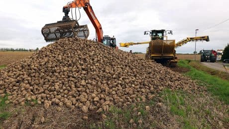 «C’est un peu David contre Goliath» : face à une pétition «orchestrée», les syndicats agricoles défendent la loi Duplomb
