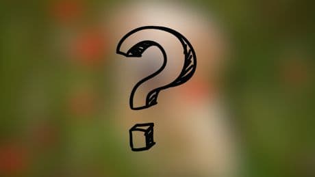 Was ist die beliebteste Hunderasse in Deutschland?