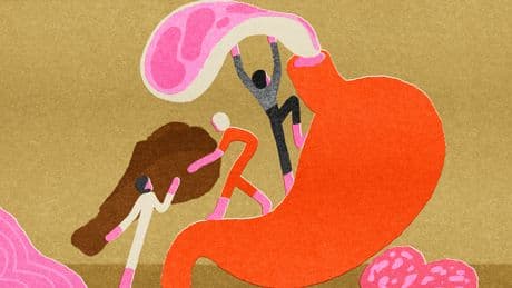 You’re being lied to about protein