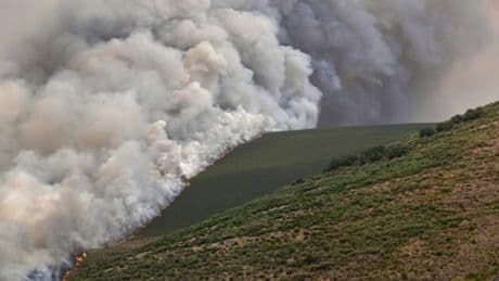 Incendies meurtriers en Espagne et au Portugal : les pompiers luttent face à une situation critique