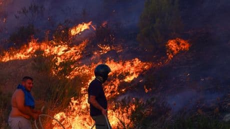 Boy, 4, dies of heatstroke after wildfires engulf Europe
