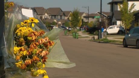 Pedestrian fatality prompts calls for better traffic safety in Edmonton