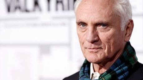»Superman«-Bösewicht Zod: Schauspieler Terence Stamp ist tot