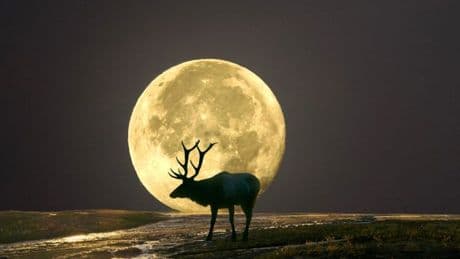 Full moon calendar 2025 – full list of dates and when July’s will fall