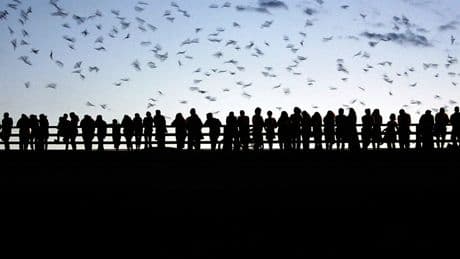 What goes ‘bump’ in the night is actually helping to ensure humanity’s survival