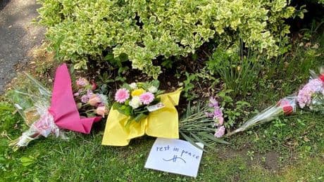 Boy, 14, charged with first-degree murder after random 'sadistic' stabbing of elderly Ontario woman: police