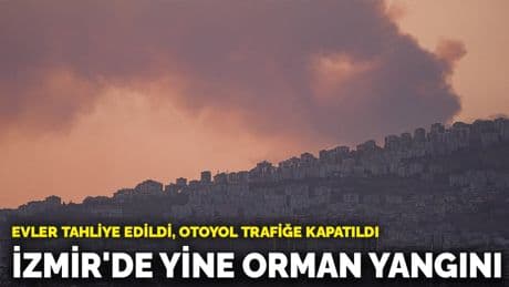 İzmir'de yine orman yangını! Evler tahliye edildi, otoyol trafiğe kapatıldı