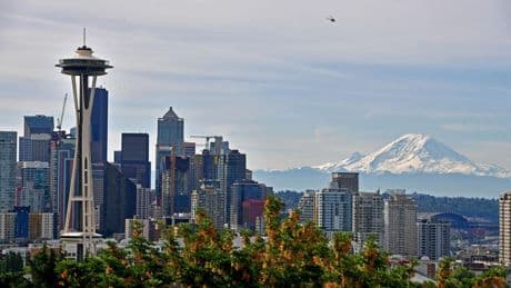 Seattle Orcas Building Cricket Legacy In Pacific Northwest