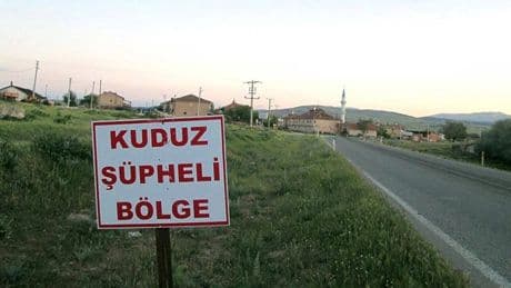 Hatay’da kuduz: 4 mahalle karantinada