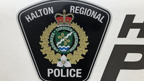 Police dog injured after stepping on gun during Ontario robbery search