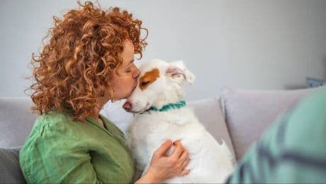 Versteckte Liebesbotschaften: Wie Ihr Hund Ihnen Zuneigung zeigt