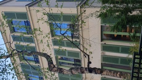 Immobilier : Paris, ville européenne préférée des ultra riches