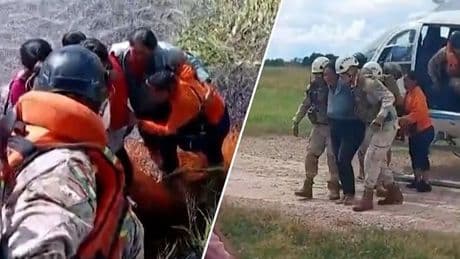 Bijzonder: vijf mensen na 1,5 dag gered na noodlanding in moeras met krokodillen